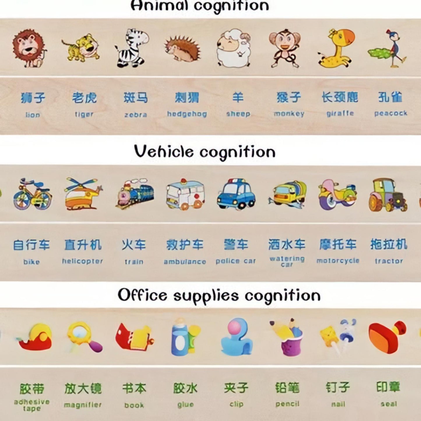 Szortírozó oktató doboz