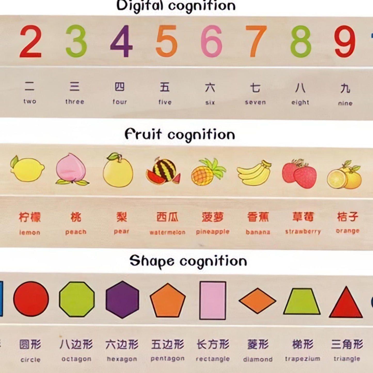 Szortírozó oktató doboz