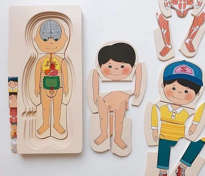 Emberi test Montessori kirakó játék