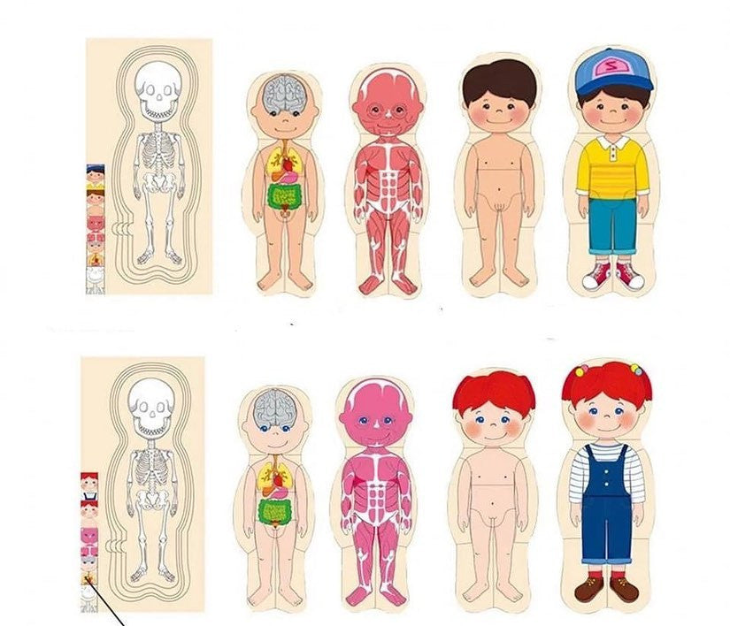 Emberi test Montessori kirakó játék